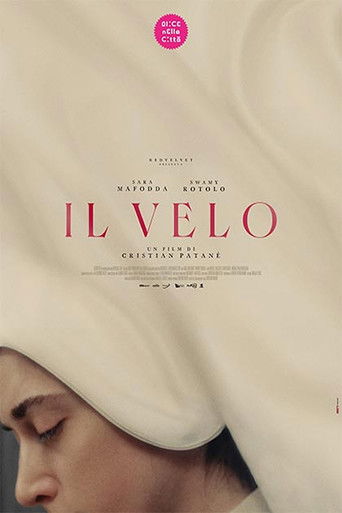 movie poster for The Veil