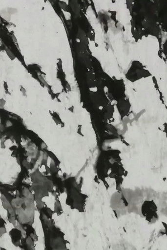 How to Forget a Terror Which Became Permanent poster