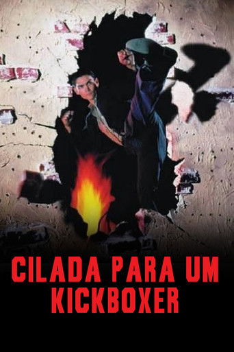 Cilada Para Um Kickboxer