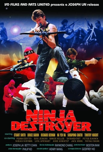 Poster för Ninja Destroyer