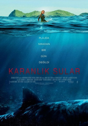 Poster 2