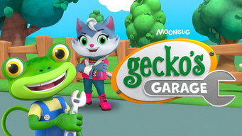 #6 Gecko's Garage