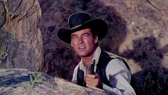 #4 Four Guns to the Border