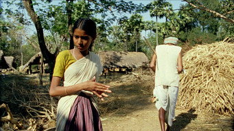 #20 Vanaja