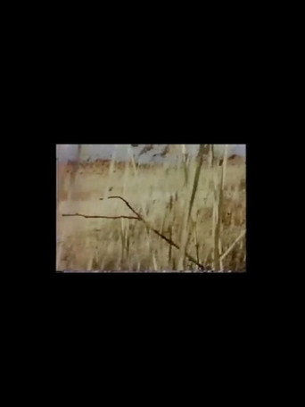 Go Into the Density of it (2016)