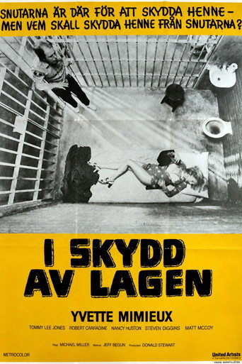 I skydd av lagen