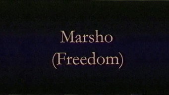 Freedom media image