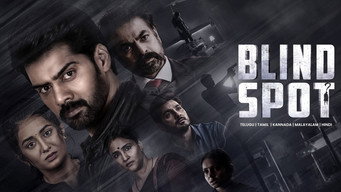 Blind Spot (2025)