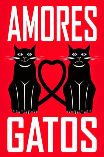 Poster of Amores Gatos