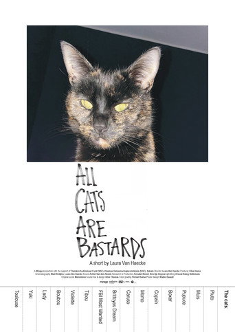 All Cats Are Bastards (2025)