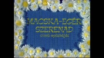 Macska-egér szerenád