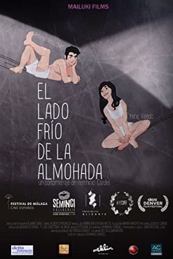 El lado fr&iacute;o de la almohada (2013)