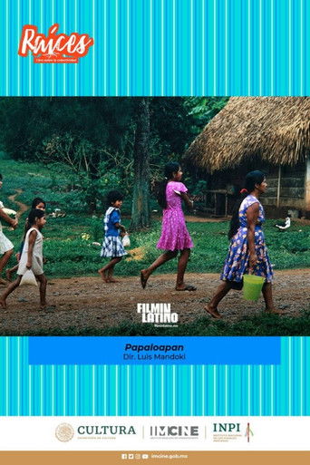 Papaloapan poster