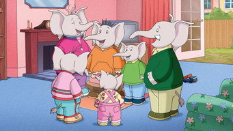 The Large Family (2006-2010)