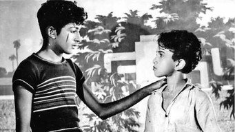 Balan media image