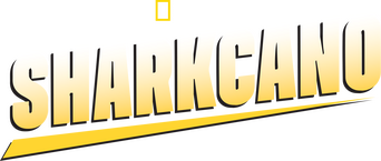 Sharkcano logo