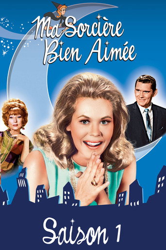 Affiche Saison 1