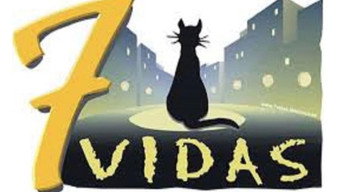 #2 7 vidas