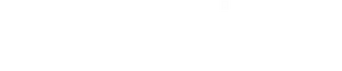 Tin Soldier logo