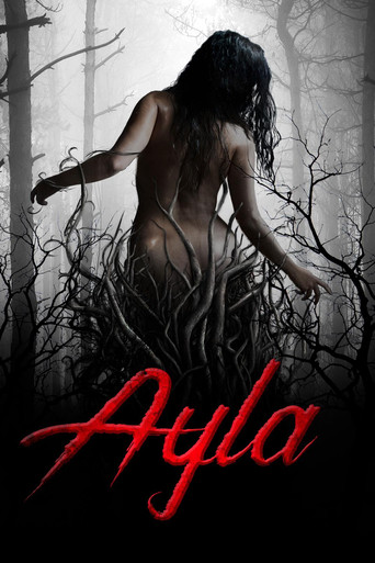 Galeria 4 - Ayla