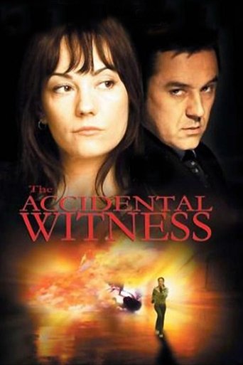 poster The Accidental Witness