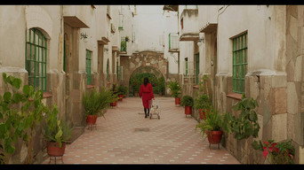 Lonesome Collectors (2019)