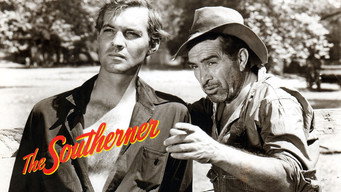 #6 The Southerner