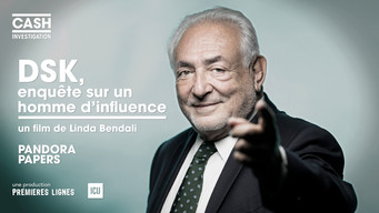 DSK, investigation on a man of influence