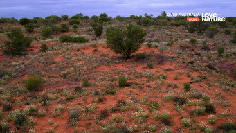 #5 Over Australia