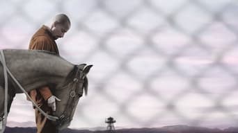 Galeria 5 - The Mustang