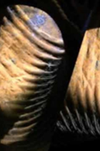 Passage Through Infinity (2012)