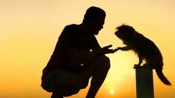 Pets (2025)