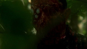 The Sky Has Fallen (2009)