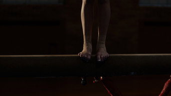 The Gymnast (2026)