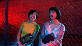 Galeria 5 - チワワちゃん