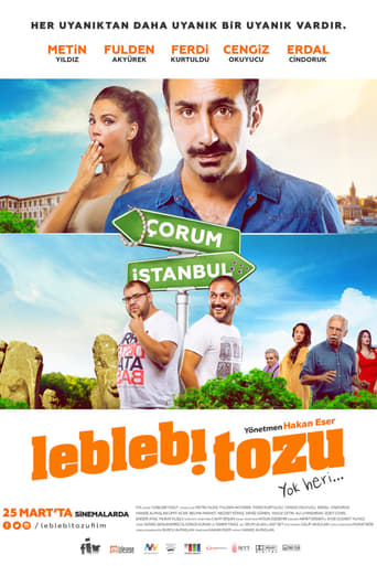 Poster of Leblebi Tozu