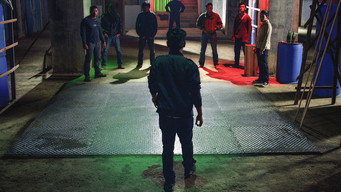 Big Brother Fadil (2014)