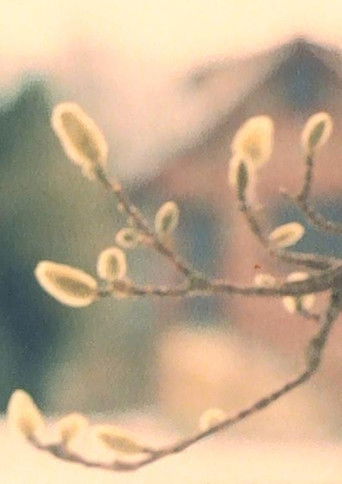 A Walk / Im Park / ZUOZ poster 2