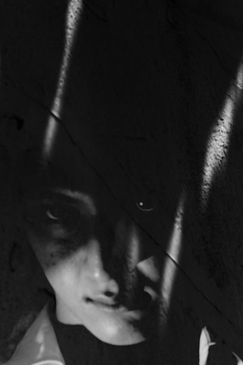 The Report on a Sailor poster