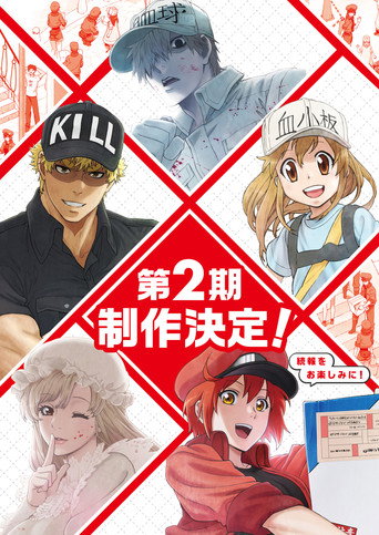 Cells at Work!: Season 2