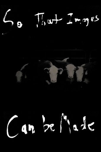 So That Images Can Be Made poster