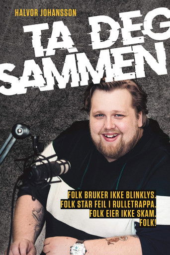 Halvor Johansson - Ta deg sammen poster