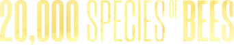 20,000 Species of Bees logo