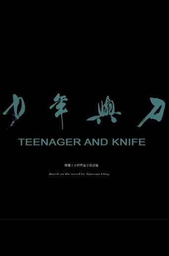 Shao nian yu dao poster