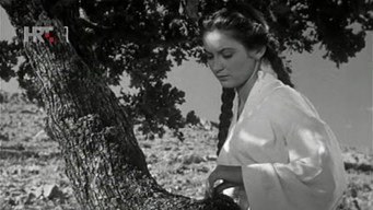 The Girl and the Oak (1955)