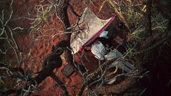 #58 Walkabout