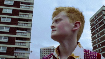 The Flats (2024)