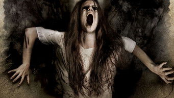 Galeria 3 - Nada Que Temer