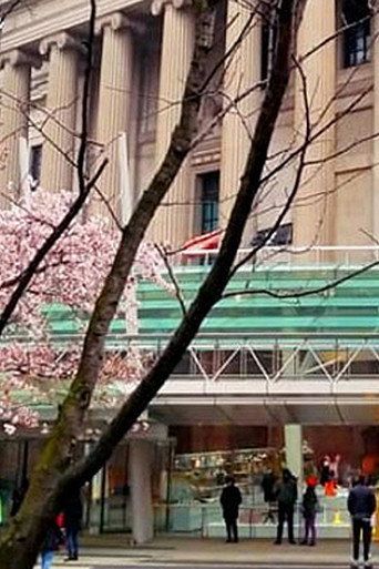 Training in Practice of Freedom