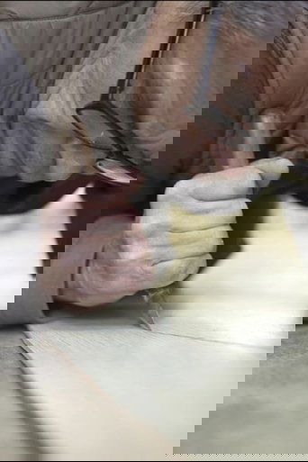 Tla-o-qui-aht Dugout Canoe poster